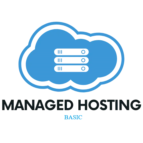 Managed Hosting - Basic